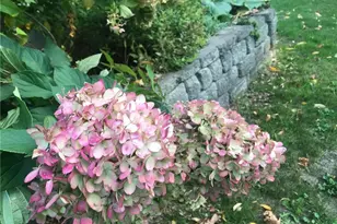 1612 Co Rd J, Hammond, WI 54015 - Photo 60