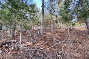 15754 S Bond Leader Lake Rd, Gordon, WI 54838 - Photo 16