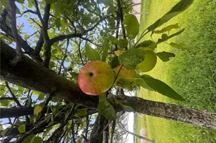 23685 Co Rd H, Dewey Township, WI 54871 - Photo 16