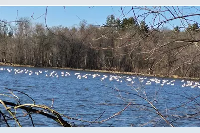 E6341 County Road D, Tainter Township, WI 54730 - Photo 14