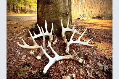 County Road M County Road M, Osceola, WI 54020 - Photo 2