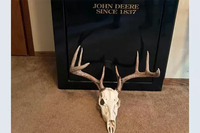 County Road M County Road M, Osceola, WI 54020 - Photo 18