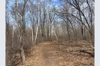 County Road M County Road M, Osceola, WI 54020 - Photo 8