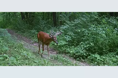 County Road M County Road M, Osceola, WI 54020 - Photo 12