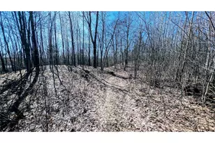 17341 Co Hwy M, New Auburn,  54757 - Photo 58