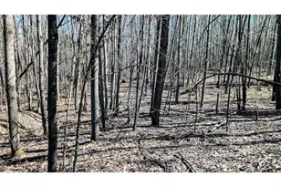 17341 Co Hwy M, New Auburn,  54757 - Photo 52