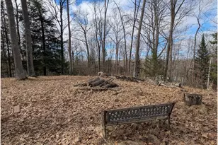 N1003 Deerhead Point Dr, Chetek, WI 54728 - Photo 6