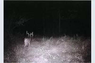 S2901 Semling Lane, Fountain City, WI 54629 - Photo 52