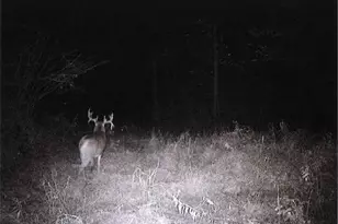 S2901 Semling Ln, Fountain City, WI 54629 - Photo 52