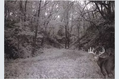 S2901 Semling Lane, Fountain City, WI 54629 - Photo 74