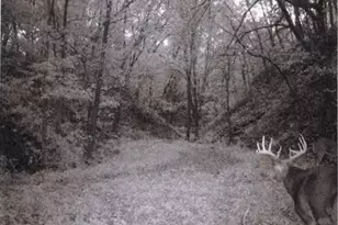 S2901 Semling Ln, Fountain City, WI 54629 - Photo 74