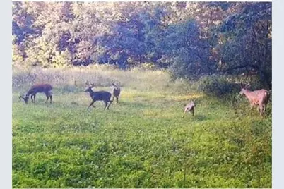 S2901 Semling Lane, Fountain City, WI 54629 - Photo 98