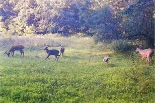 S2901 Semling Ln, Fountain City, WI 54629 - Photo 98