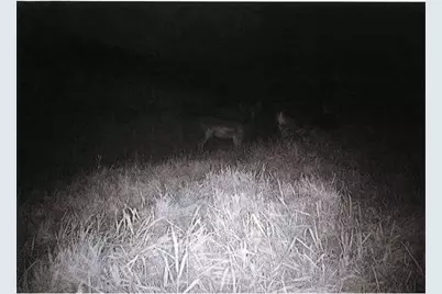 S2901 Semling Lane, Fountain City, WI 54629 - Photo 116