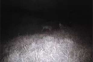 S2901 Semling Ln, Fountain City, WI 54629 - Photo 116