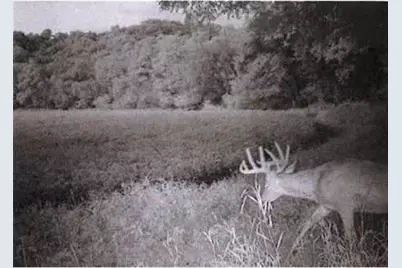 S2901 Semling Lane, Fountain City, WI 54629 - Photo 110