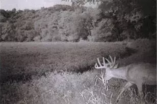 S2901 Semling Ln, Fountain City, WI 54629 - Photo 110