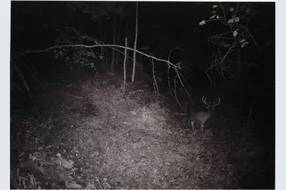 S2901 Semling Lane, Fountain City, WI 54629 - Photo 92