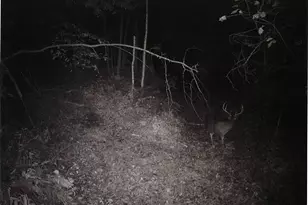 S2901 Semling Ln, Fountain City, WI 54629 - Photo 92