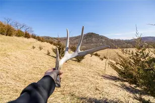 S2901 Semling Ln, Fountain City, WI 54629 - Photo 64