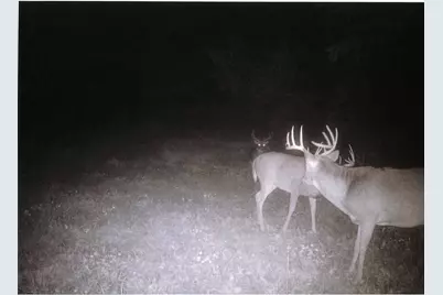 S2901 Semling Lane, Fountain City, WI 54629 - Photo 54