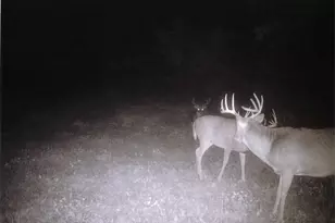 S2901 Semling Ln, Fountain City, WI 54629 - Photo 54