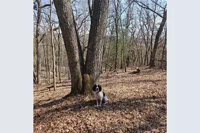 W13942 County Road B, Fairchild, WI 54741 - Photo 44