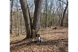 W13942 Co Rd B, Fairchild, WI 54741 - Photo 44