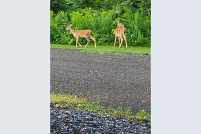 N10301 171st Street, Tiffany Township, WI 54725 - Photo 34