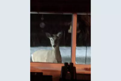 N10301 171st Street, Tiffany Township, WI 54725 - Photo 36