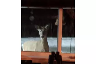 N10301 171st St, Tiffany Township, WI 54725 - Photo 36