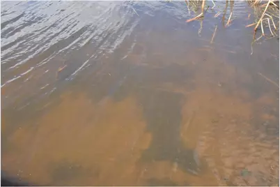 24199 Clam Lake Drive, Siren, WI 54872 - Photo 44