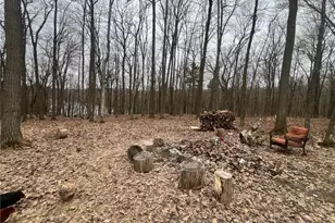 2639 2 1/2 St, Maple Plain Township, WI 54829 - Photo 8