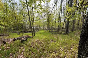 15051 S Thorn Lake Loop, Wascott, WI 54838 - Photo 30