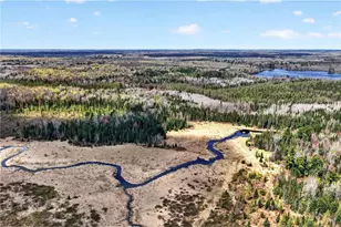 8225 Blaisdell Lake Rd, Winter, WI 54896 - Photo 52
