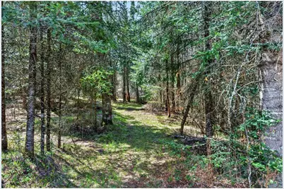 8225 Blaisdell Lake Road, Winter, WI 54896 - Photo 42