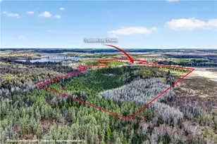 8225 Blaisdell Lake Rd, Winter, WI 54896 - Photo 4