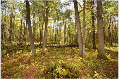4899 County Road A, Webster, WI 54893 - Photo 48