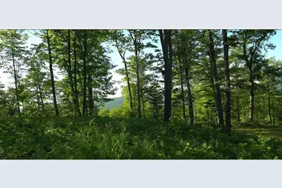 83Xxx - Lot 11 Ashwabay Road, Bayfield, WI 54814 - Photo 10