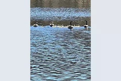N3260 Starkey Lake Road, Shell Lake, WI 54871 - Photo 28