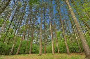 350 Blue Spruce Ln, Somerset, WI 54025 - Photo 4