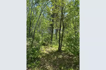 N7642 Crooked Road, Ladysmith, WI 54848 - Photo 30