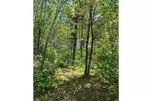 N7642 Crooked Rd, Ladysmith, WI 54848 - Photo 30