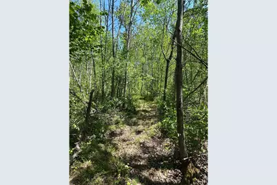 N7642 Crooked Road, Ladysmith, WI 54848 - Photo 28