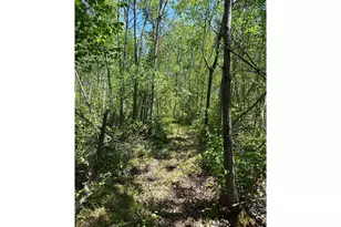 N7642 Crooked Rd, Ladysmith, WI 54848 - Photo 28