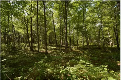 29093 Deerpath Pass, Jackson Township, WI 54830 - Photo 48