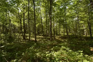 29093 Deerpath Pass, Jackson Township, WI 54830 - Photo 48