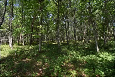 29093 Deerpath Pass, Jackson Township, WI 54830 - Photo 62