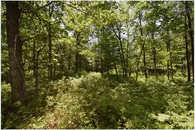 29093 Deerpath Pass, Jackson Township, WI 54830 - Photo 76