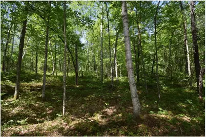29093 Deerpath Pass, Jackson Township, WI 54830 - Photo 50